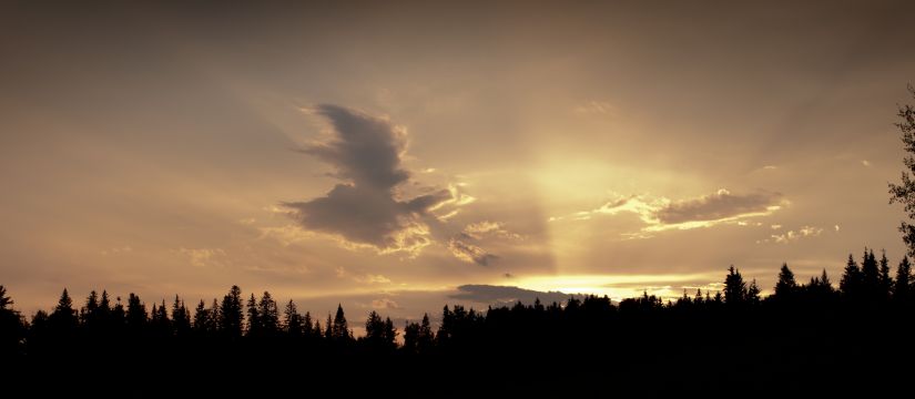 Alberta Sunset