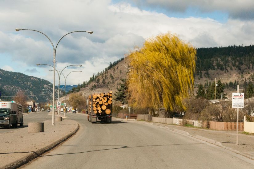 Big Tree roadside Log Truck British Columbia Canada