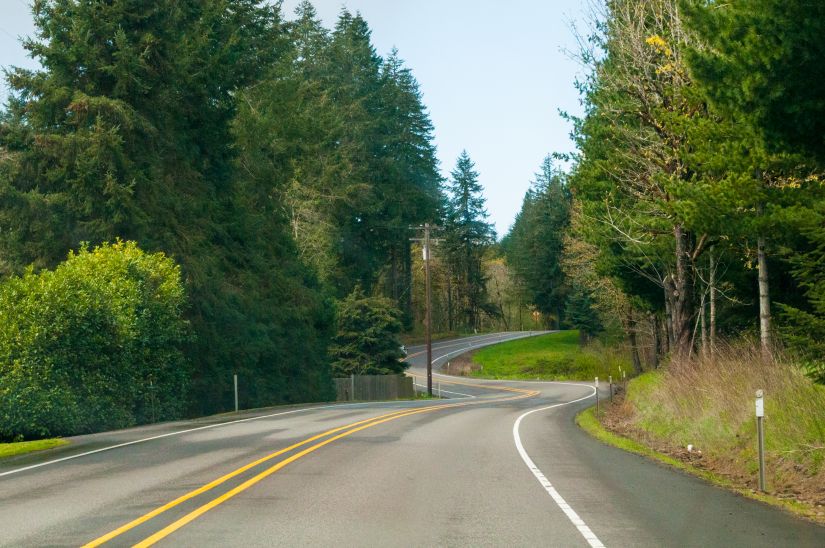 Twisty Oregon highway