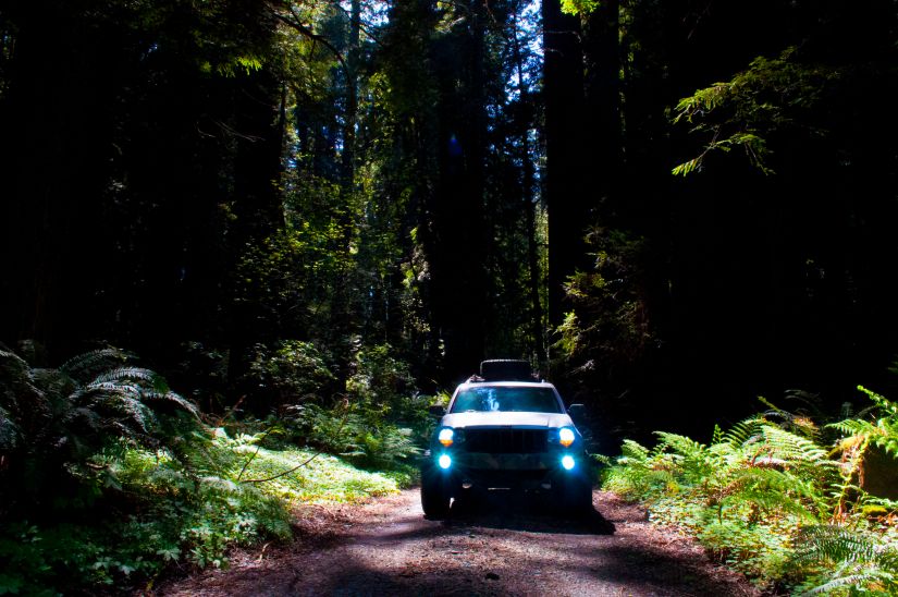 Wk1 Jeep Offroading in Red Woods Grand cherokee
